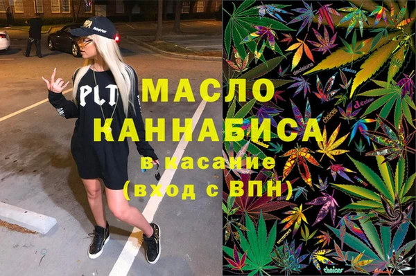 сатива Каменногорск