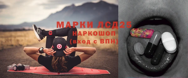 сатива Каменногорск