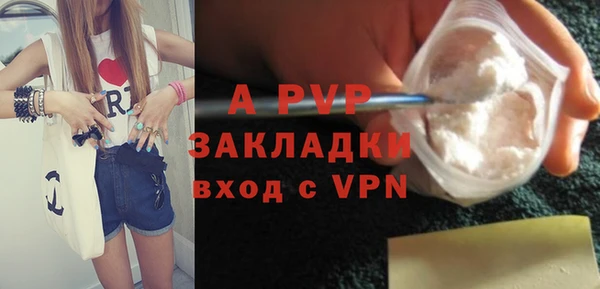 Альфа ПВП Каменка