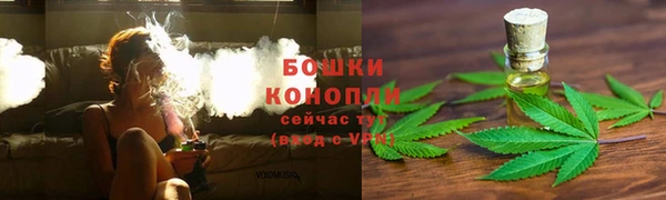 сатива Каменногорск