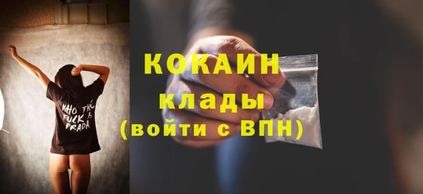 сатива Каменногорск