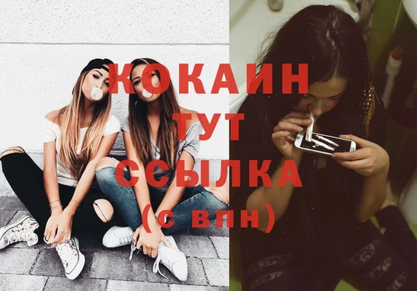 сатива Каменногорск