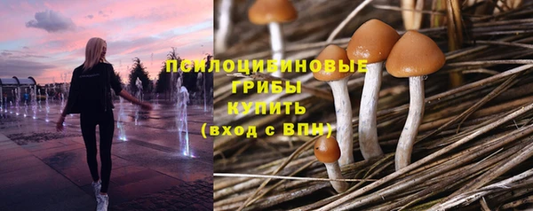 спайс Каменск-Шахтинский