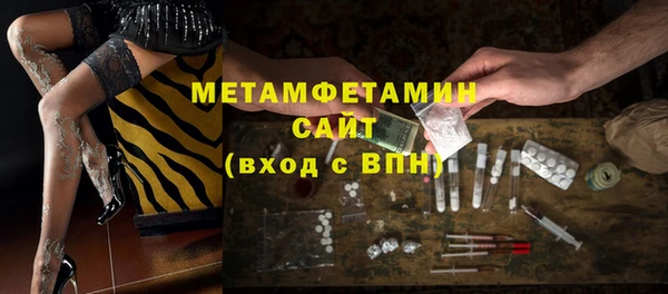 сатива Каменногорск