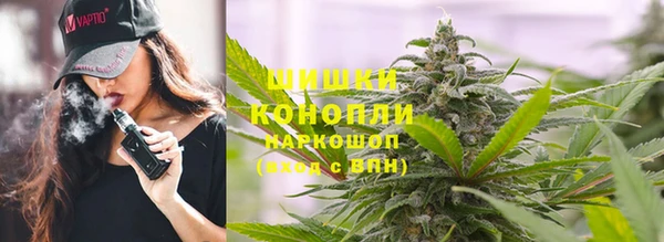 Альфа ПВП Каменка